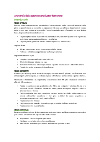 GineT3docx.pdf