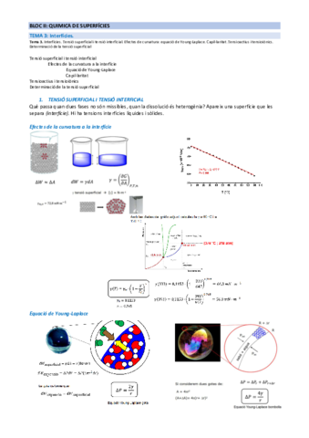 BLOC-II-Quimica-de-superficies.pdf