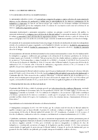 Sindical.pdf