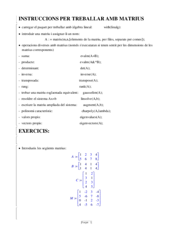 Teoria y ejemplos MapleV.pdf