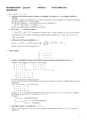 parcial 1 resuelto noviembre.pdf