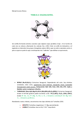 83 CICLOSILICATOS.pdf