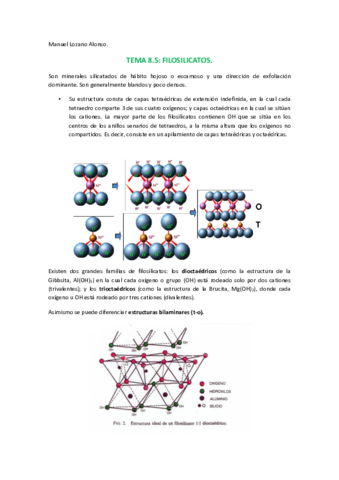 85 FILOSILICATOS.pdf