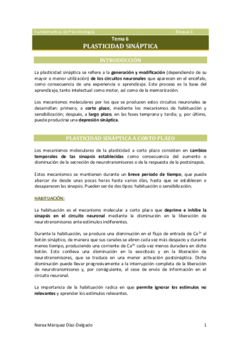 Tema-6-Plasticidad-sinaptica.pdf