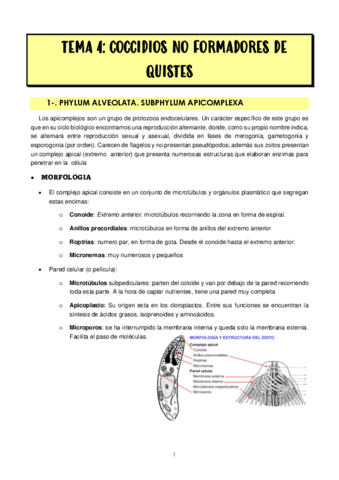 TEMA-4-COCCIDIOSIS-NO-FORMADORES-DE-QUISTES.pdf