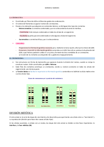 mitosis-y-meiosis.pdf