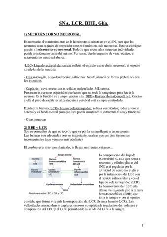 FisioPteSenaris.pdf