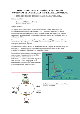 TEMA-2-FUNDAMENTOS-CIENTIFICOS-Y-EVOLUCION-CONCEPTUAL-DE-LA-GIMNASIA-Y-HABILIDADES-ACROBATICAS.pdf