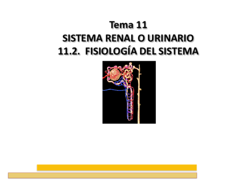 EFCH-Tema-11.pdf