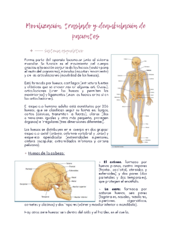 TBE-3-Sistema-Musculoesqueletico.pdf