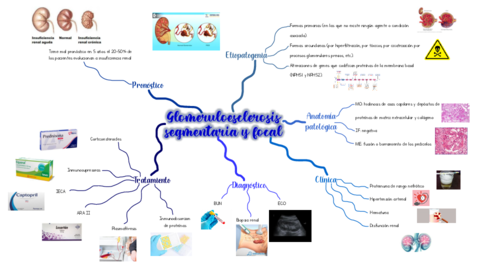 Glomerulonefritis-segmentaria-y-focal.pdf