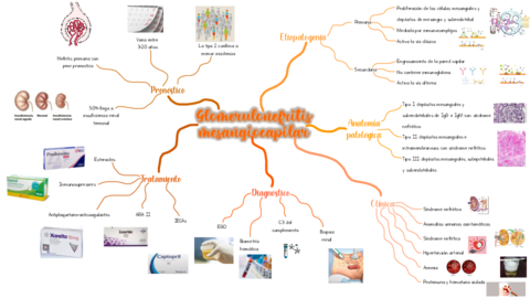 Glomerulonefritis-mensagiocapilar.pdf