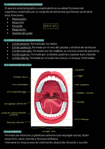 RESUMEN-UT1.pdf