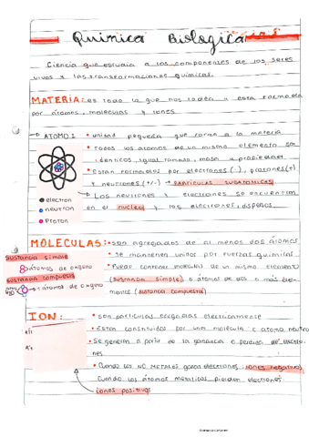 resumen-teorico-.pdf