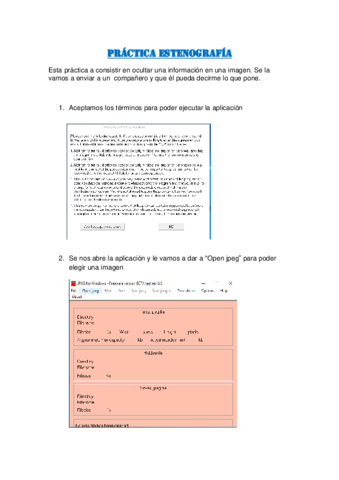 practica-esteganografia.pdf