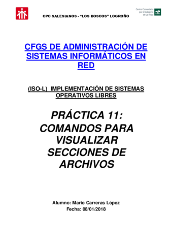 P11-Visualizacion-de-secciones-de-archivos.pdf