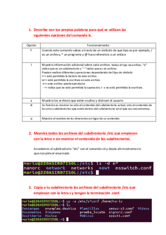 P7-Comandos-para-el-manejo-de-archivos.pdf