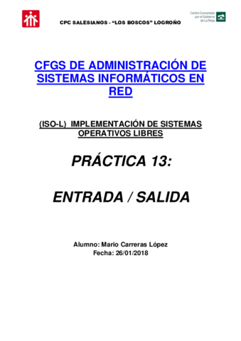 P13-Entrada-Salida.pdf