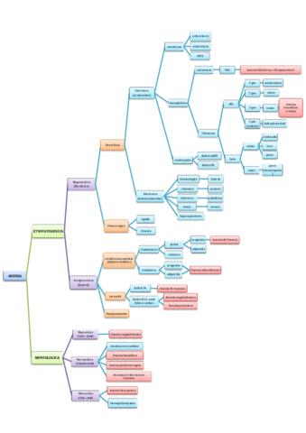 esquema-anemias.pdf