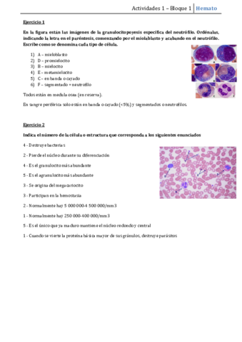 actividades-1-hemato.pdf