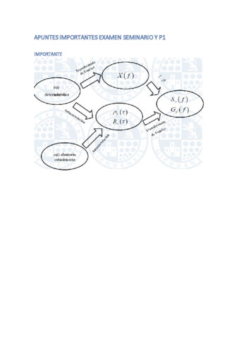 Apuntes-importes-Seminario1-y-P1.pdf