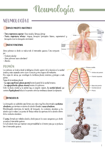 T2-Neumologia.pdf