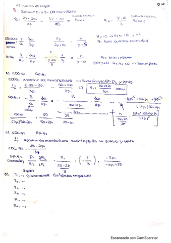 EJERCICIOS-TEMA3.pdf