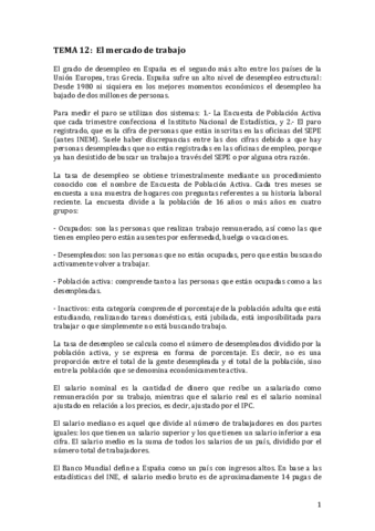 TEMA-12.pdf