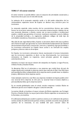 TEMA-17.pdf