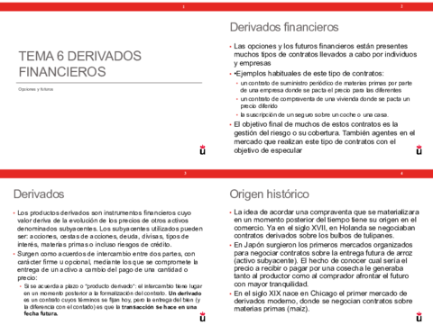 TEMA-6.pdf