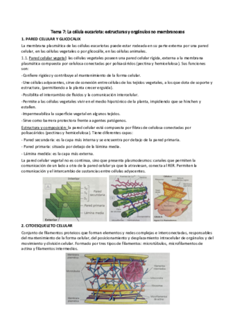 Tema-7.pdf
