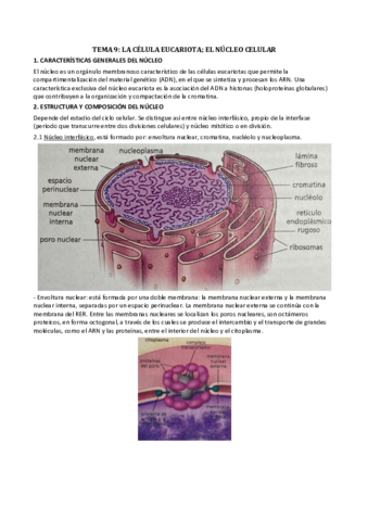 Biologia-Tema-9.pdf