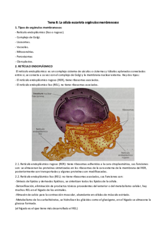 Tema-8.pdf