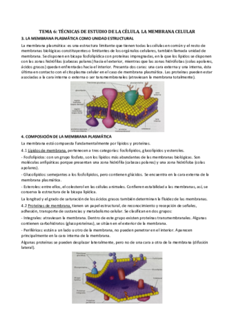 Biologia-Tema-6.pdf