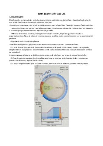 Biologia-Tema-10.pdf