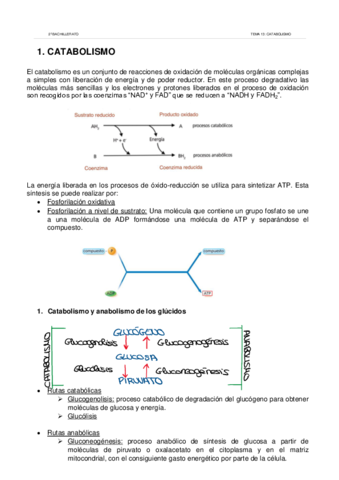 Resumen-tema-13-Catabolismo.pdf