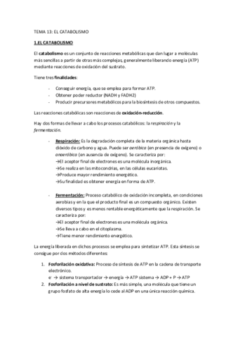 Biologia-Tema-13.pdf