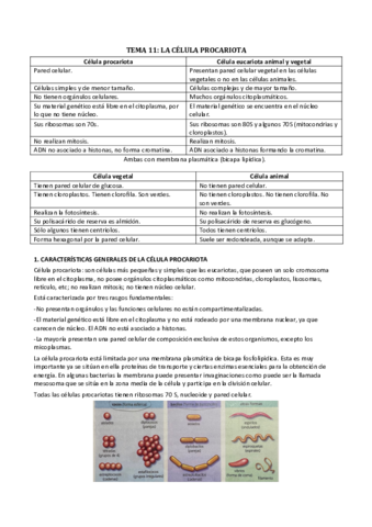 Biologia-Tema-11.pdf