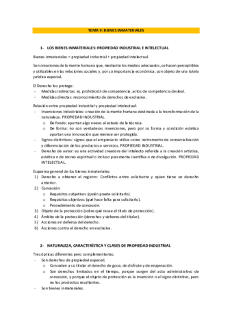 Tema-9-BIENES-INMATERIALES.pdf