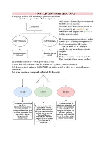 apunts-linguistica-.pdf
