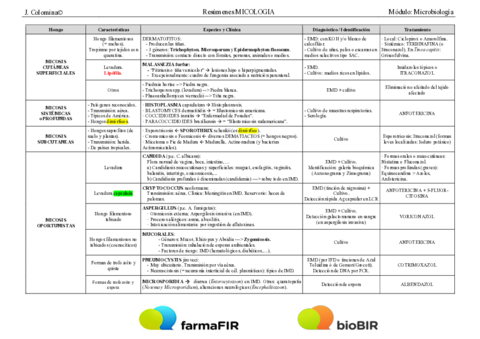 3-Tabla-Resumen-MICOLOGIA.pdf