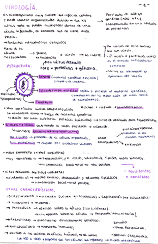 VIROLOGIA.pdf