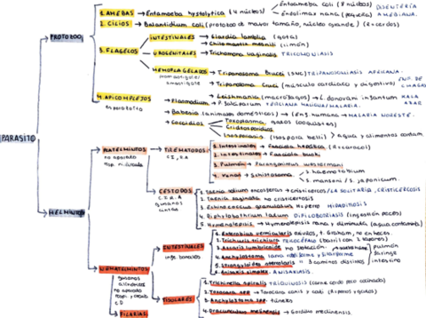 cuadro-resumen-parasitos.pdf