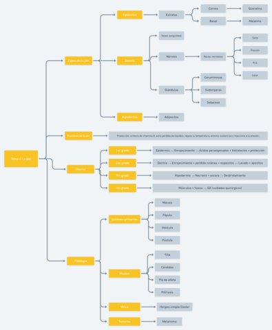 Conceptos-importantes.png