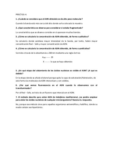 Cuestiones-practica-4.pdf
