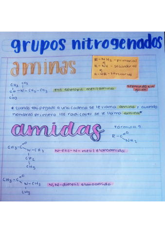 Grupos-nitrogenados.pdf