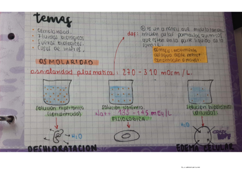 Osmolaridad.pdf