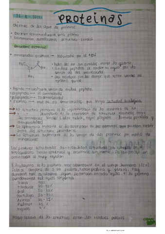 Proteinas.pdf