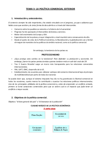 TEMA-3-politica.pdf