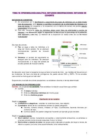 TEMA-16-EPI.pdf
